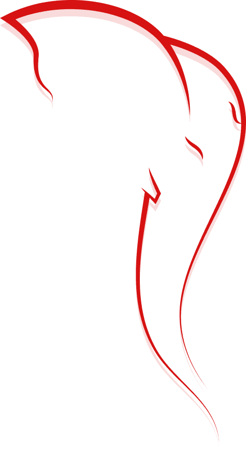 Minimal Red Ganesh PNG