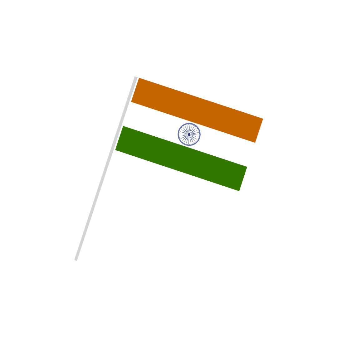 Handheld Indian National Flag